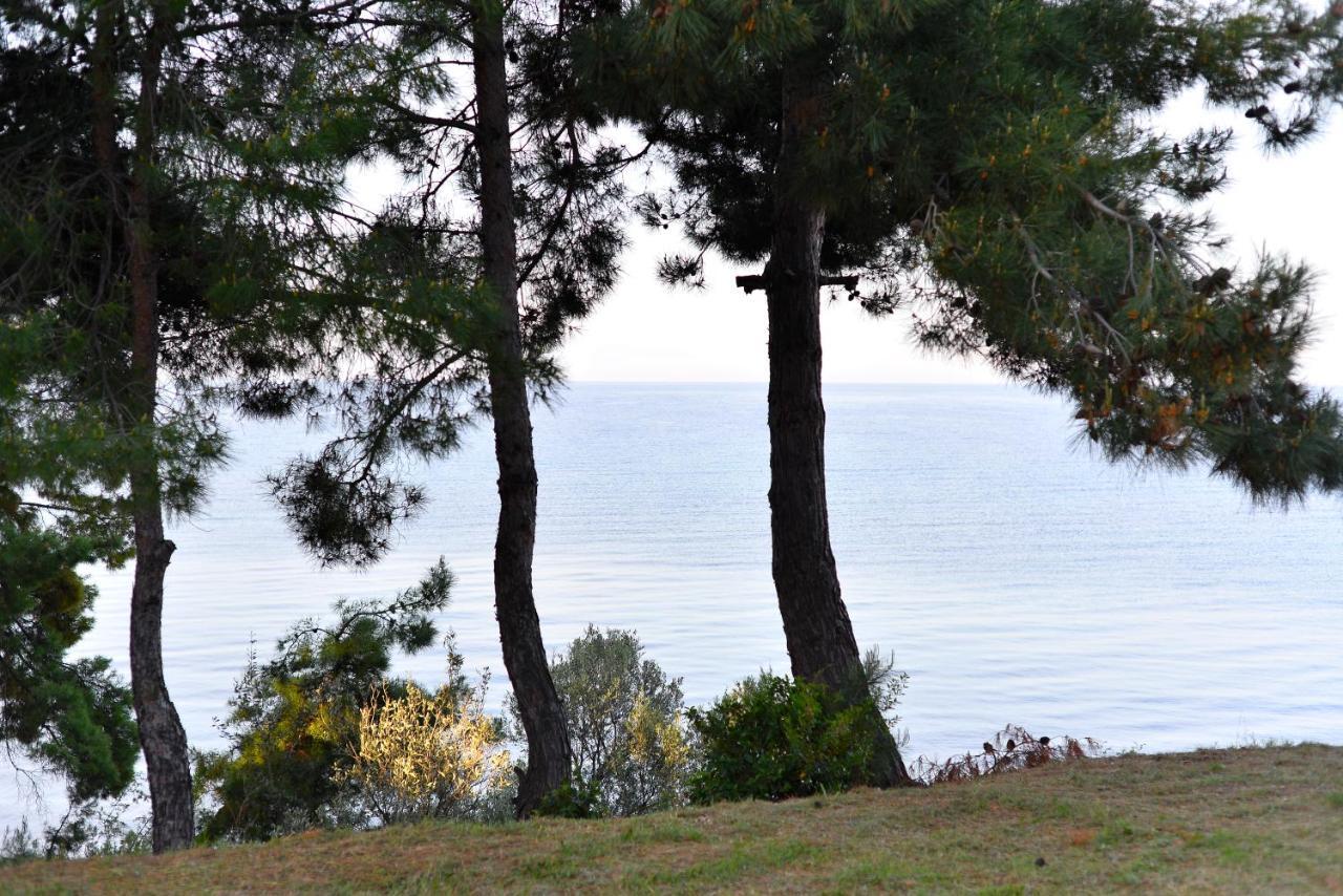 Summerday Villa Private Beach Неа-Іраклія Екстер'єр фото